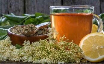 Wie man Parasiten im Körper mit beliebten Heilmitteln loswerden