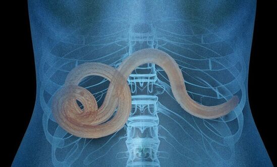 Parasit im menschlichen Körper