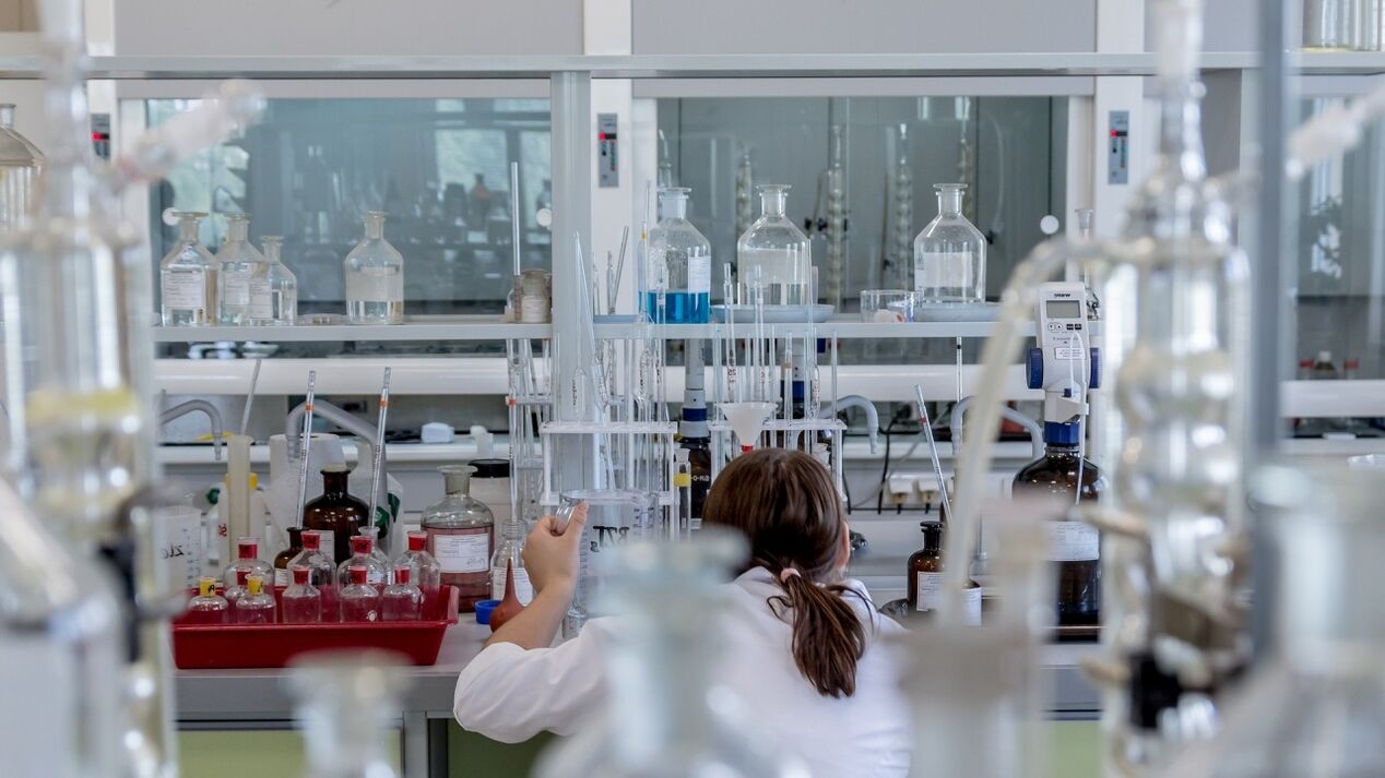 Diagnose des Vorhandenseins von Parasiten im Körper.
